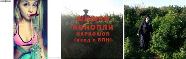 тгк Бежецк