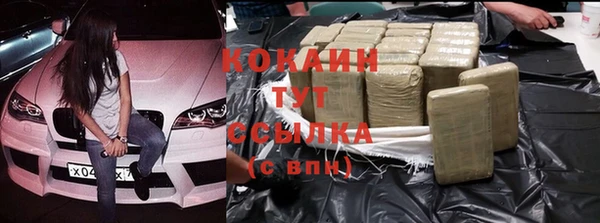 сатива Аша