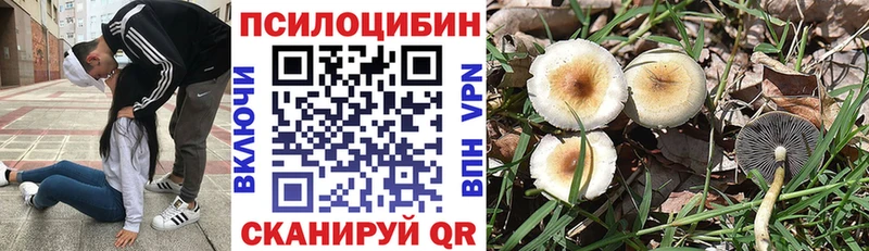 Галлюциногенные грибы прущие грибы  МЕГА ТОР  Калач 